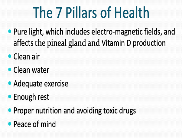the 7 pillars of health Screen Shot 2020-11-29 at 22.09.06.png